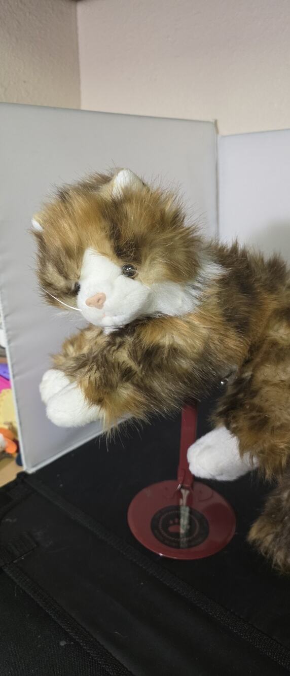 TY Classic Plush JUMBLES Calico Cat 12" 2014 - RARE Z1